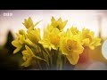 A Royal Guide To ... Parks & Gardens | BBC Select