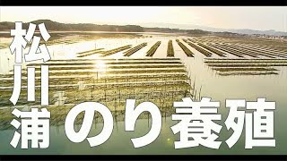 【松川浦・福島・164】「のり養殖」空撮・たごてるよし_Aerial_TAGO channel