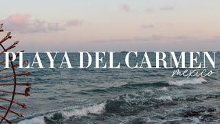 Playa Del Carmen (First Impressions) | Mexico Travel Vlog