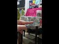 pacific parrotlet learning tricks 5 fly to me 太平洋鸚鵡