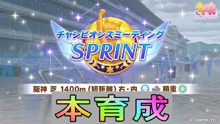 【ウマ娘】チャンミSPRINTに向けて　day21【初見さん歓迎】