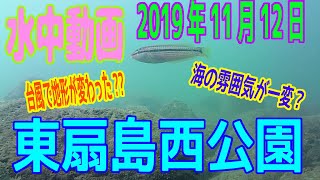 水中動画（2019年11月12日）in東扇島西公園