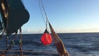 Följ med Carmona ut på en fisketur