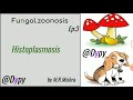 Histoplasmosis .Fungal zoonosis Part 3