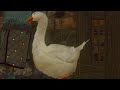 The Witcher 3: Duck, duck, goosed!