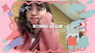 [vlog] 2024년 10월 11월