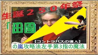 Beethoven Nr.6 第１０課【田園の嵐攻略法、左手第３番の指と「１⇔１の法則」の魔法】-コントラバスの達人 tuttist of National Orchestra of Belgium