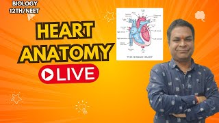 Heart Anatomy -11th/NEET,SKY KOTA ACADEMY, RAIPUR is live #live #youtube