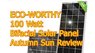 Eco Worthy 100 watt Bifacial 12v 100w Solar Panel Review Is It Any Good #wisebuyreviews