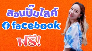 สอนปั๊มไลค์ facebook ฟรี ปลอดภัย ยอดขึ้นทันที!!