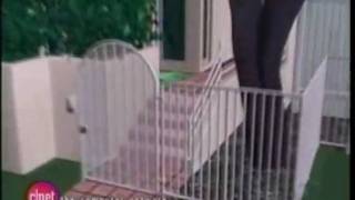OJ Simpson Murder Trial Animation - check description for HD