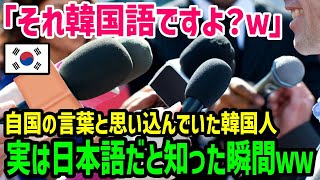 【海外の反応】「日本はいつも韓国の文化を盗んでいる！」韓国語だと思っていたあの言葉が実は日本語だと知り大恥ｗ