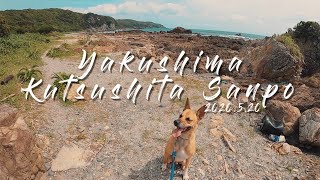 犬と砂浜で遊ぶ｜大型犬の散歩｜田舎暮らし