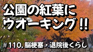 ＃110  公園の紅葉にウオーキング行きました。【 脳梗塞・退院後くらし】