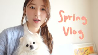 [VLOG] 봄이다 ! 남대문 그릇쇼핑/ 스튜디오 꾸미기/ 소소한 요리