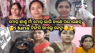 ଏକା ସାଙ୍ଗେ ଏତକି ଦୁଃଖ ହେବା ମୋର ଛୁଆକୁ 🤭ଭାବି ନା ଥାଇ 🤔ଉଷା ରାନି ଆଜିର କାଣେ କହୁଛନ୍ ଇଟା🤔#villagerecipevkog