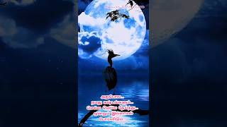 🌺🌚இரவு வணக்கம் வாழ்த்துக்கள்🌚🌺@heavenlytreat