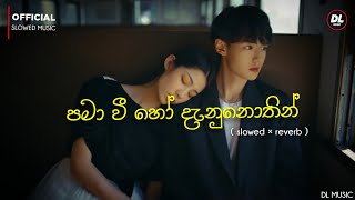 Pama wee ho danunothin | පමා වී හෝ දැනුනොතින් | Man widina duka I ( Slowed × Reverb ) | DL MUSIC