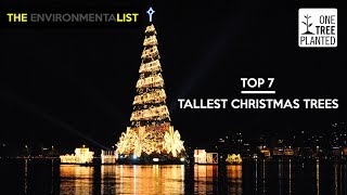 The World's Tallest Christmas Trees | One Tree Planted