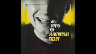 Elektryczne gitary - Na krzywy ryj