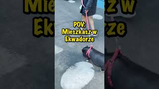 POV: MIESZKASZ W EKWADORZE #shorts