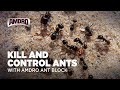 Amdro Ant Block Home Perimeter Ant Bait (granules)