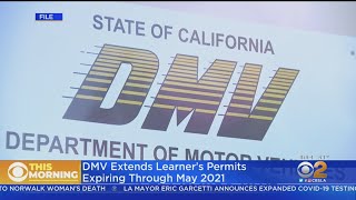 California DMV Extends Learner's Permits Into 2021