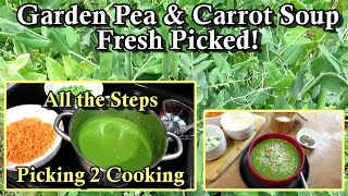 How to Make Garden Pea \u0026 Carrot Soup from Fresh Picked Vegetables: Homestead Garden Cooking