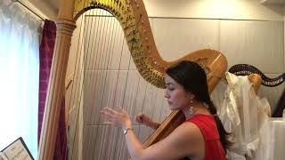 Blues in F Study Solo on the harp