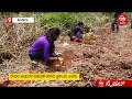 kodava people creates project for save forest in kodagu ದೇವರ ಕಾಡು ರಕ್ಷಣೆಗೆ ಮುಂದಾದ ಕೊಡವ ವೀರರು