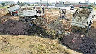 Wonderful Dumping dump truck pouring soil with Powerful Komatsu bulldozer pushing