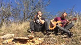 Woodnitza - Meloyad (Tin Whistle \u0026 Acoustic Guitar)