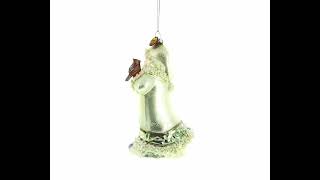 Charming Santa Holding Cardinal and Raccoon - Blown Glass Christmas Ornament (CC-0546)