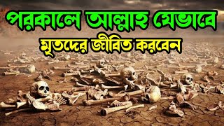 আল্লাহ যেভাবে পরকালে মৃতদের জীবিত করবেন | Allah will raise the dead | Bangla hadis | Islamic poth