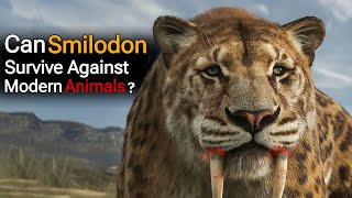 6 Animals That Could Have Killed a Smilodon