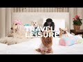 Behind-the-Scenes: Dog-Friendly Hotels | Travel + Leisure