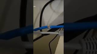 Massive Data Leak Pingflood Or H2overflow Or Just A Normal Datastream Ethernet Internet