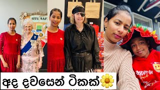 අද දවසෙන් ටිකක්🌼Sinhala vlog 🌼New Zealand