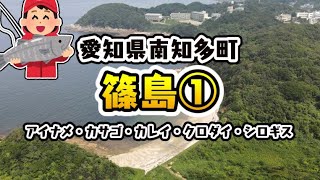 【愛知県篠島】『歌碑公園展望台～篠島中学～清正の枕石』の釣り場ガイド