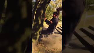 SLAMMING INTO A TREE #shorts #rollerblading #hedonskate