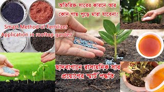 How to fertilize Tub or in rooftop garden? কিভাবে ছাদবাগানে সার প্রয়োগ করলে দ্বিগুন ফলন পাবেন?