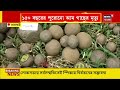 nadia news ranaghat এর স্কুলে তৈরি হচ্ছে seed bomb bangla news