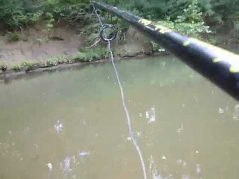 Small Creek Gar Fishing Small Creek Gar Fishing