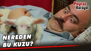 Taşkafa, Kucağında Kuzu Buldu! - Poyraz Karayel 32. Bölüm