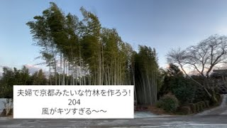 204.夫婦で京都みたいな竹林を作ろう！風がキツすぎる〜　飛び立つ白鳥　アルティジャーナロッソ　ピザ屋