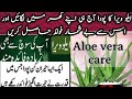 Benefits of Aloevera Alovera Plant benefits and care tips #tubssam Terrace Gardening