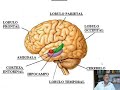 entrenamiento psicológico para afrontar situaciones de alto estrés emocional