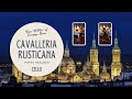 Cavalleria Rusticana - P. Mascagni [Cello version]