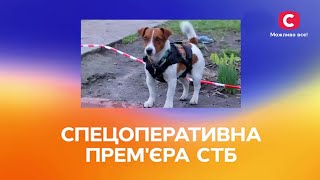 Наймиліше відео війни! Наші пухнастики за Україну!