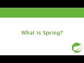 what is Spring? Let's find out what is Spring Framework!